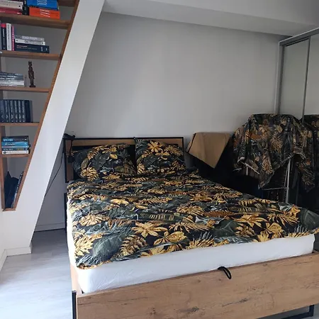 Mieszkanie Niedaleko Centrum Szczecina *